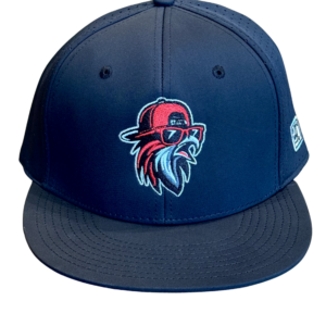 Cool Falcon Fitted Black Cap